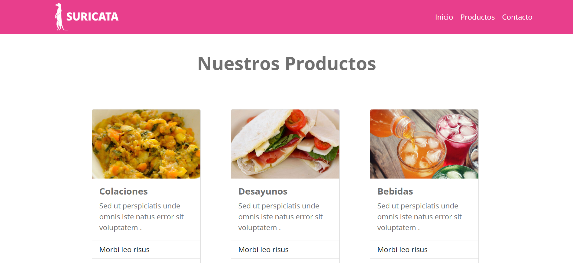 Imagen tienda online 'Suricata'